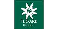 floare de colt